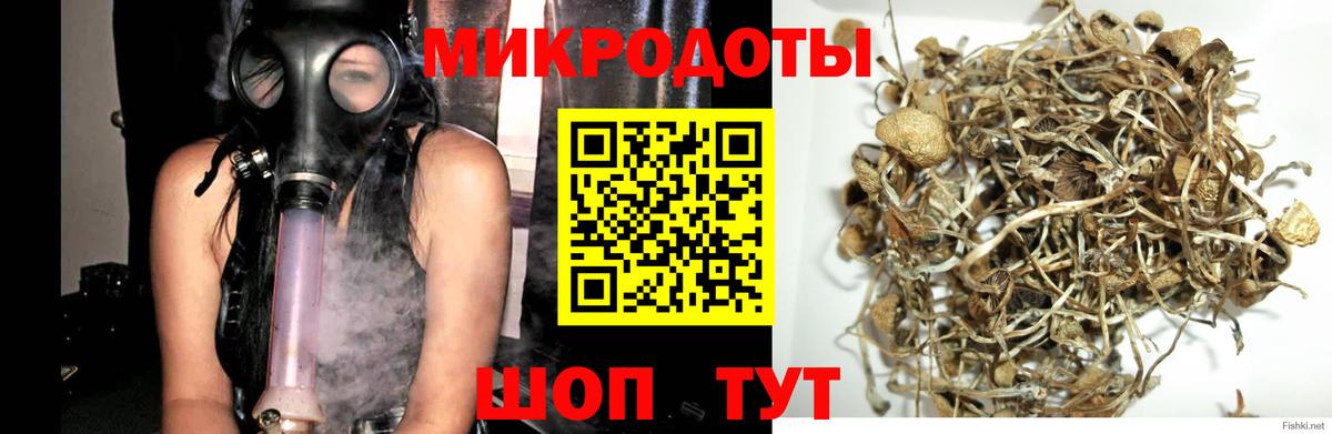 Галлюциногенные грибы Cubensis  Вход с VPN  Волхов 